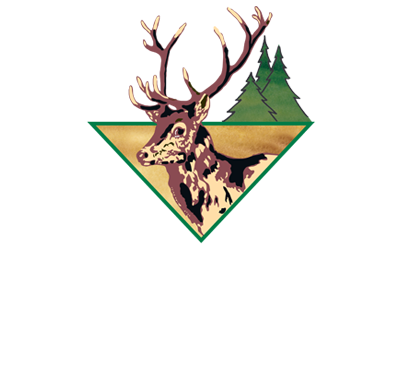 Hirschen-Bräu, Waldkirch